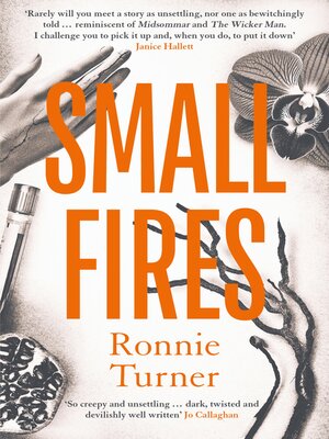 cover image of Small Fires